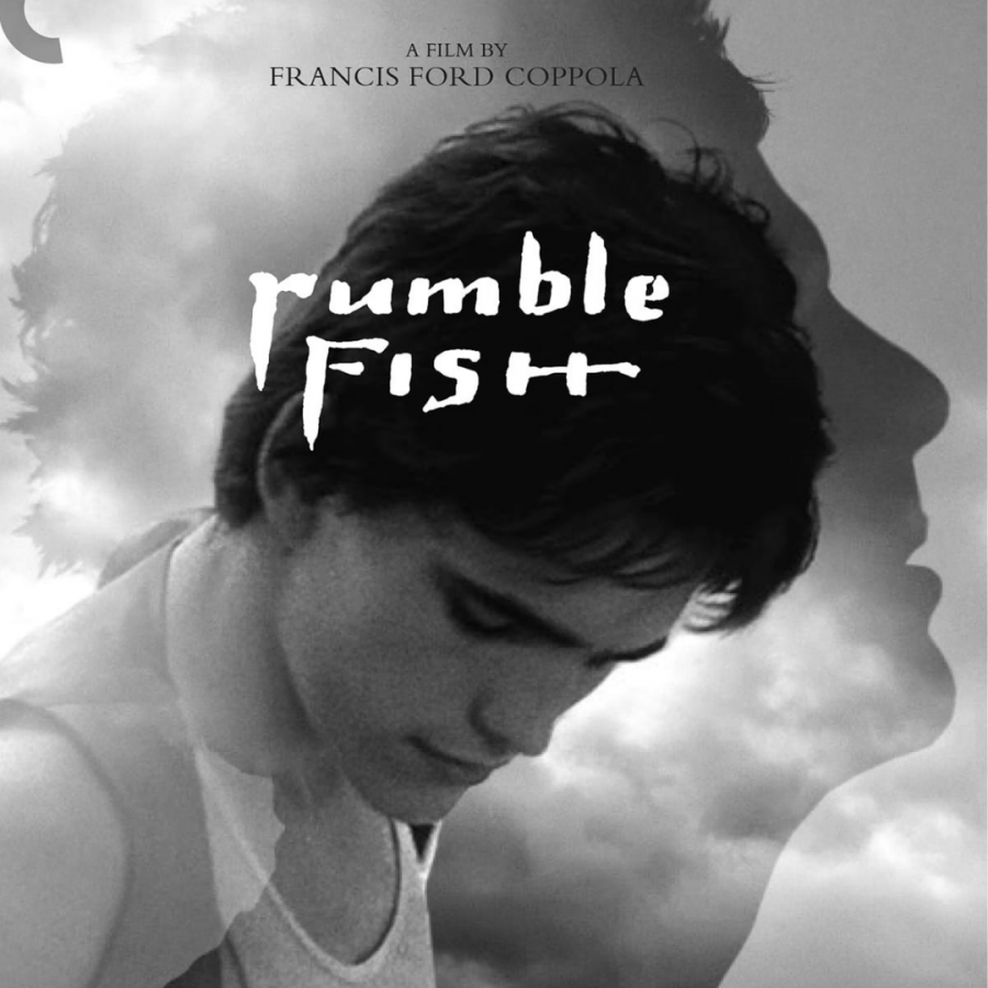 GUEST: Rumble Fish creates an artful take on a playful genre
