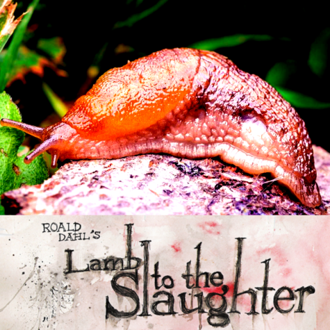 Lamb to the Slaughter: the shocking truth
