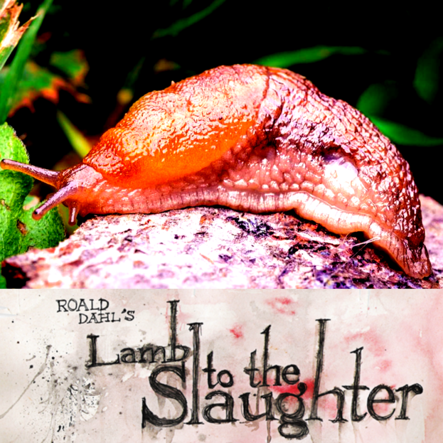 LambtoSlaughter