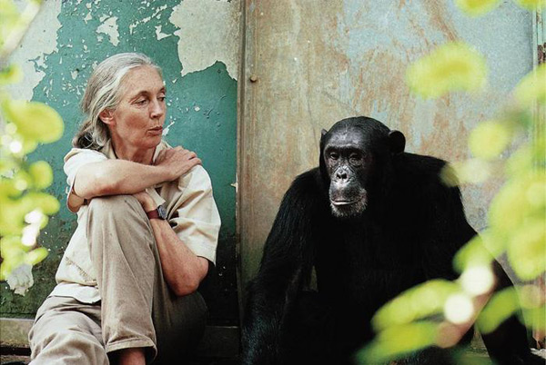 Dr. Jane Goodall
Photo credit: Michael Neugebauer from Mongabay