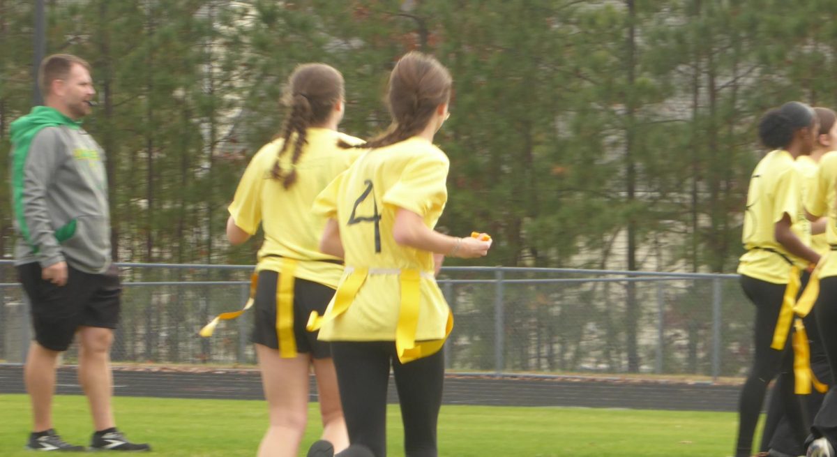 Powderpuff on the Hill