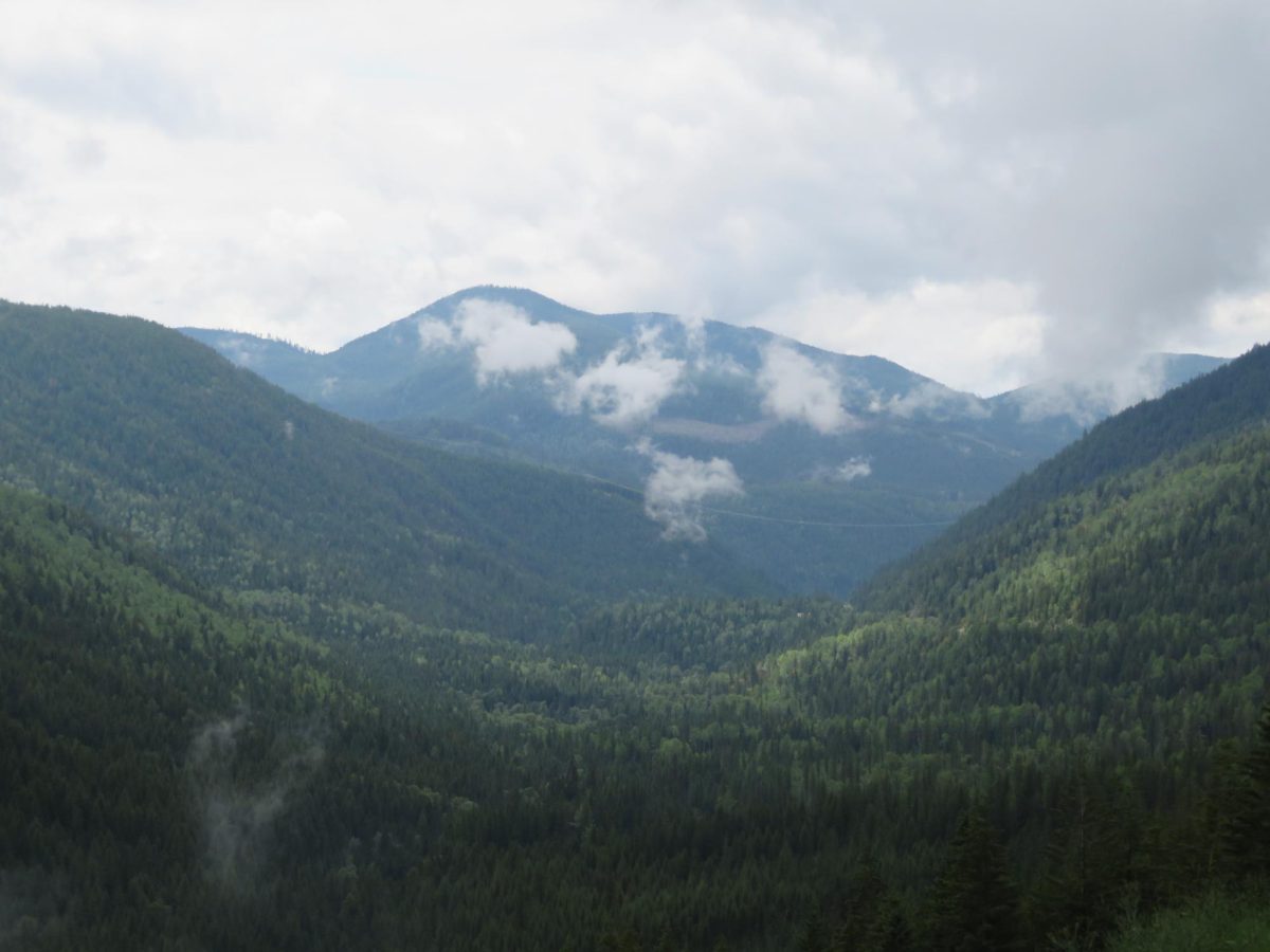 Endangerment Finding repealed: why and what that could mean for the environment and economy