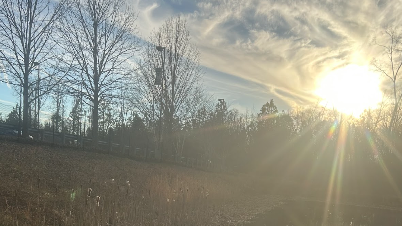 Local species thrive through winter